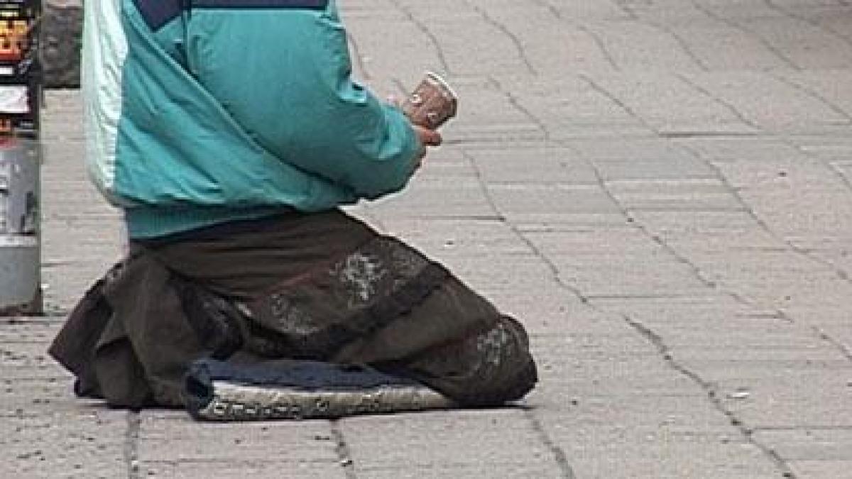 ploiesti trei cersetori au de platit amenzi in valoare de 660 000 de lei