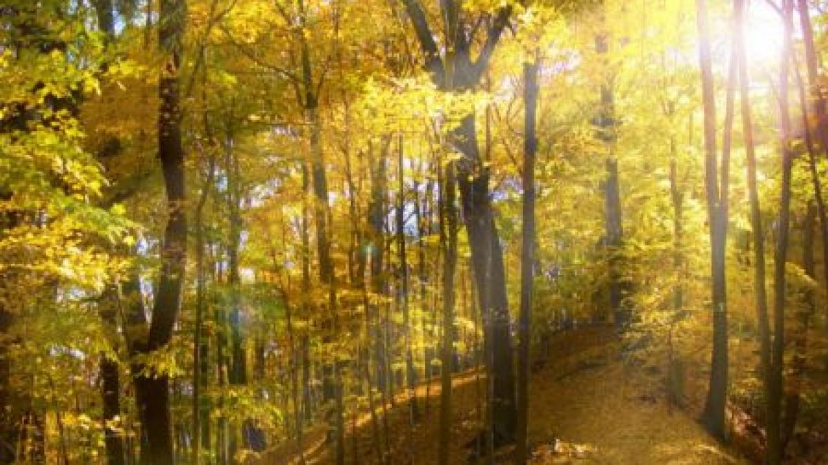 temperaturi de vara si seceta pana la finalul lunii septembrie vezi prognoza meteo