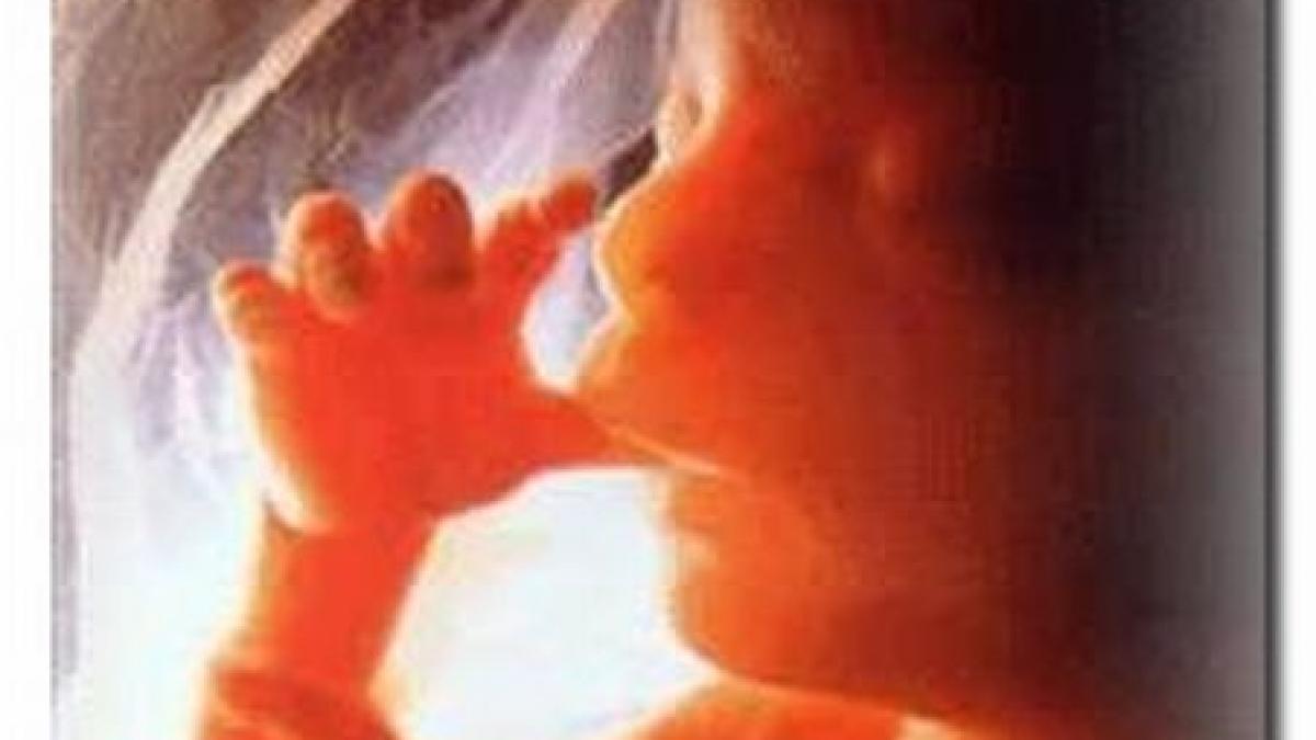 miracolul vietii un caz in cinci milioane a nascut gemeni desi avea doua utere