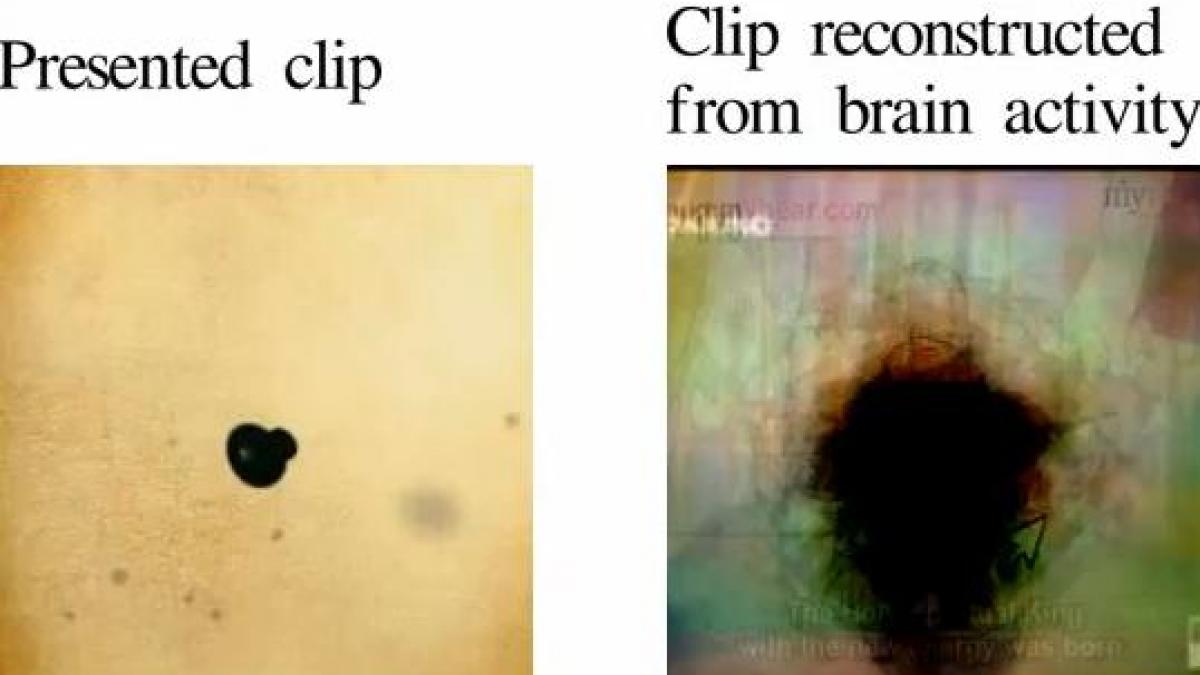 cum arata visele vezi un experiment uluitor care iti poate citi gandurile