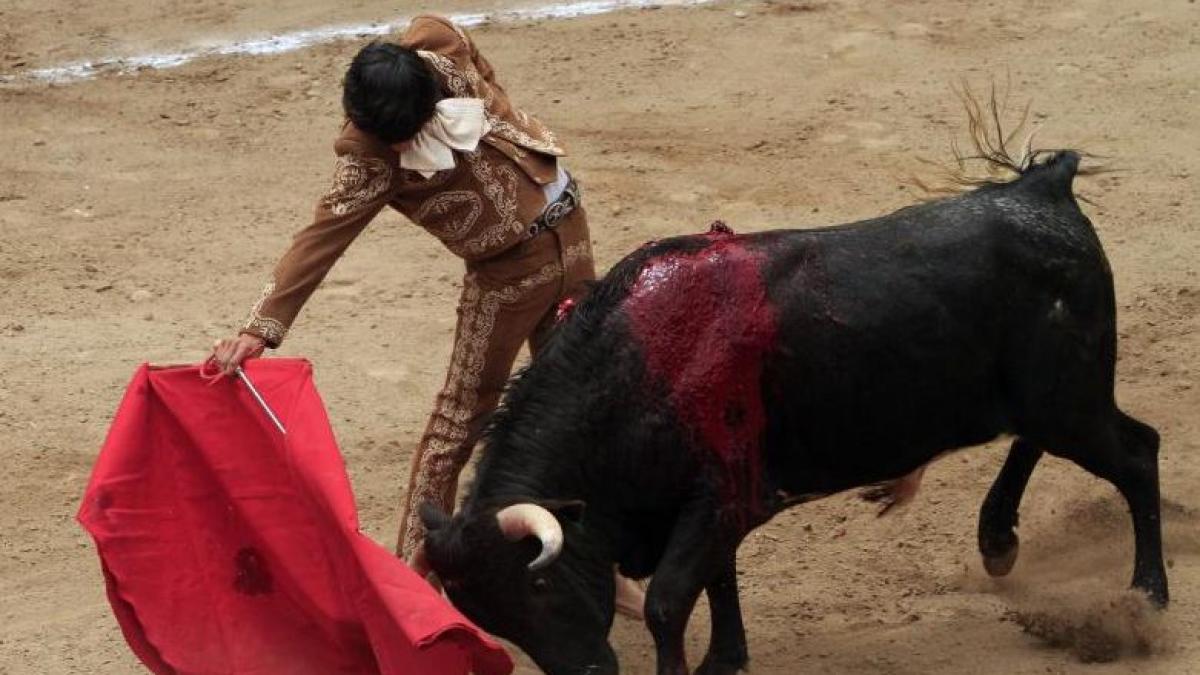 zeci de spanioli au protestat la barcelona fata de luptele cu tauri