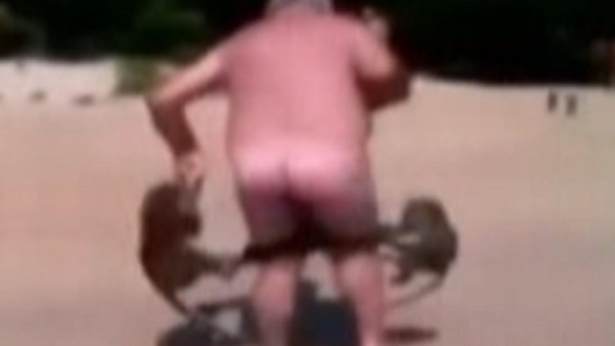 maimutele perverse te dezbraca pentru o banana