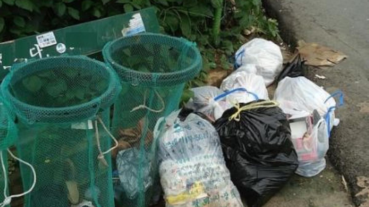 curatenie generala in romania zeci de voluntari de la o firma de paza au participat la actiunea de