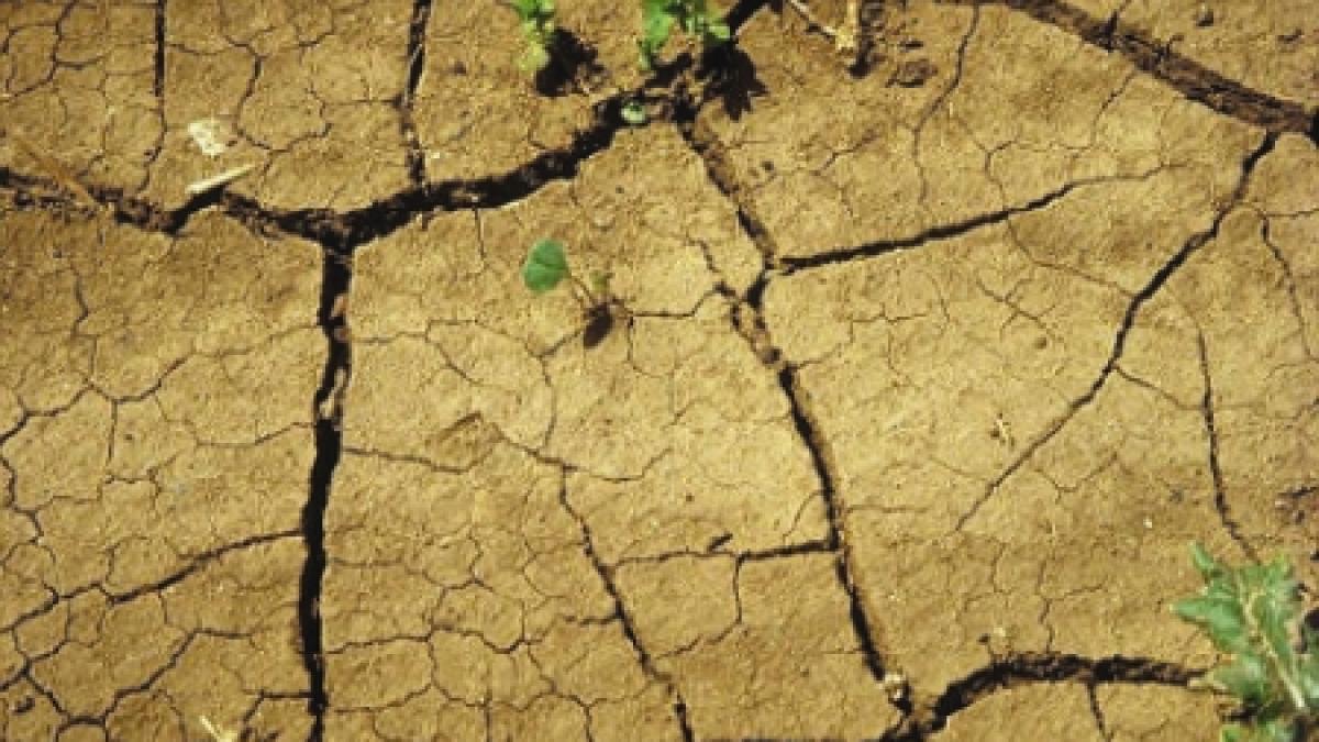 opt saptamani de seceta in romania mancarea si energia electrica s ar putea scumpi