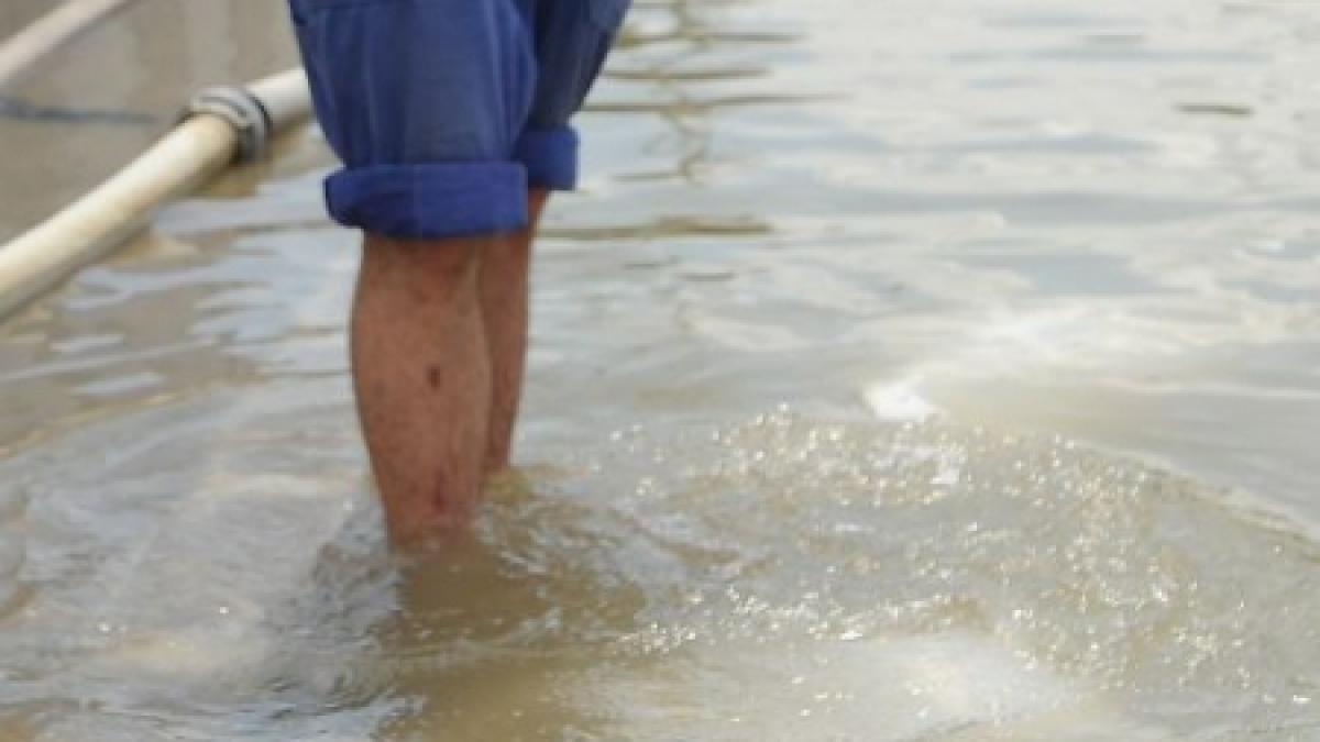 dorel loveste din nou peste 300 de apartamente din botosani lasate fara apa de un muncitor