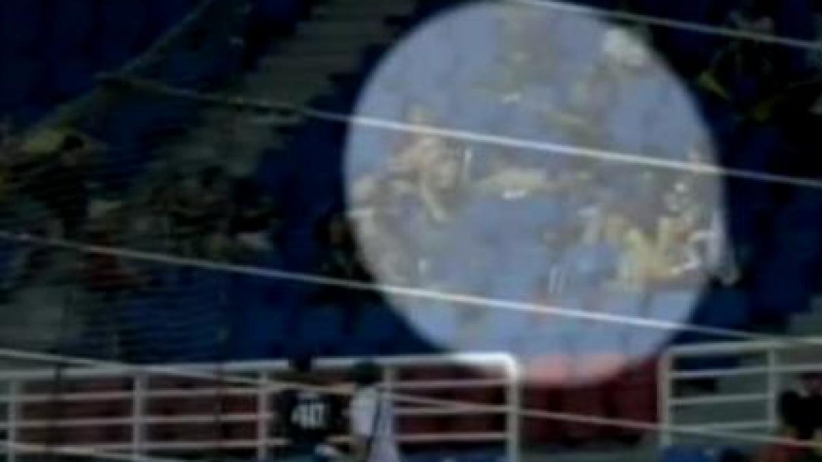 mingea sau copilul vezi ce a ales un spectator la un meci de baseball din japonia