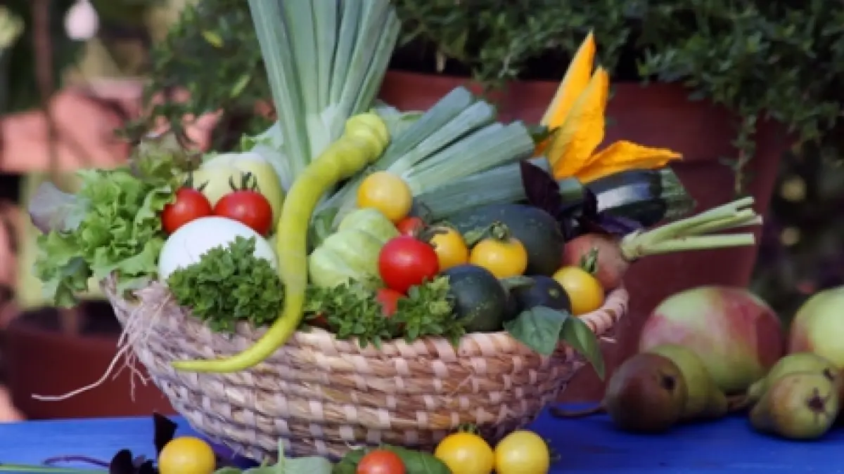 productie de legume mai mare ca in 2010 la buzau
