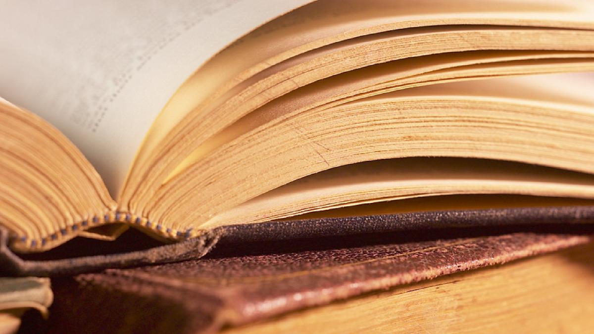 noaptea bibliotecarilor o pledoarie pentru mersul la biblioteca si redescoperirea lecturii de