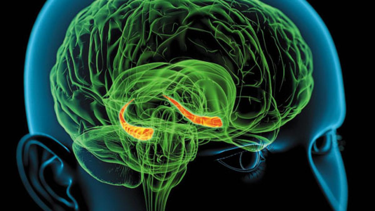 femeia care nu poate uita nimic actrita de la hollywood care stie tot ce s a intamplat in ultimii