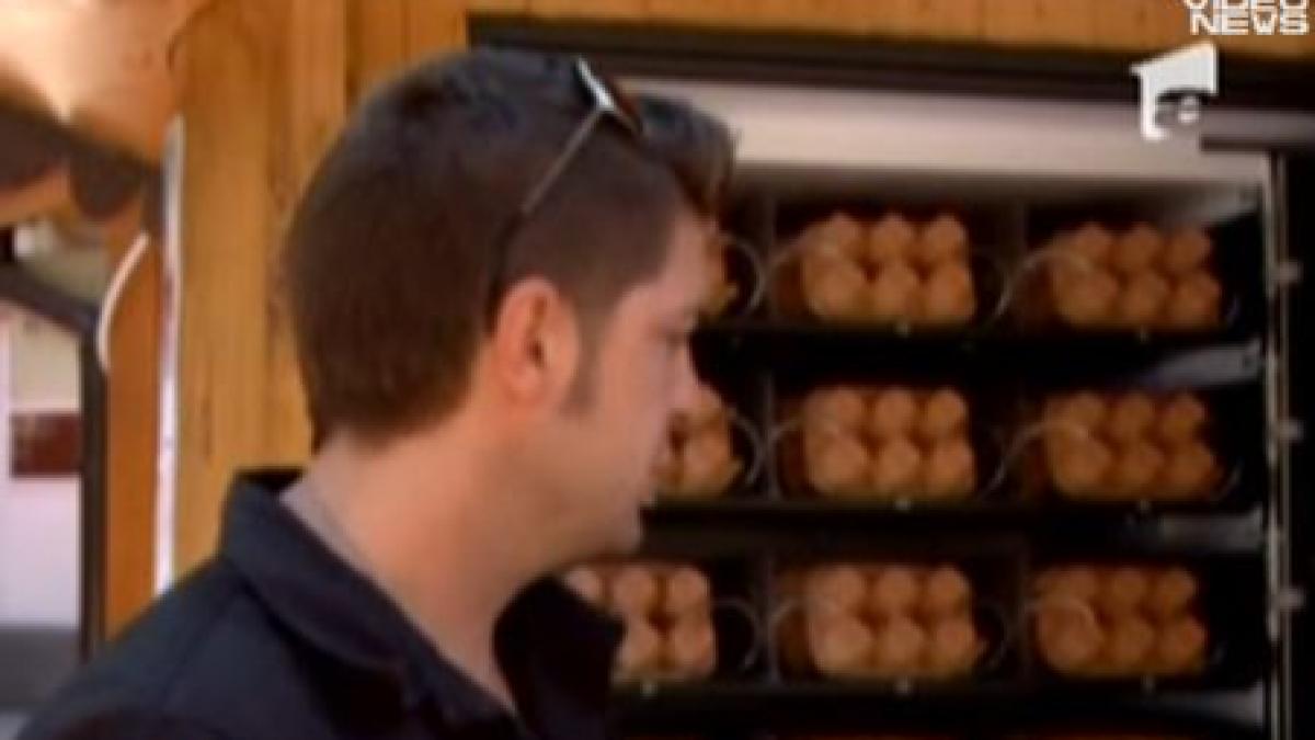 gaina de fier automatul care da oua pe fise e la timisoara