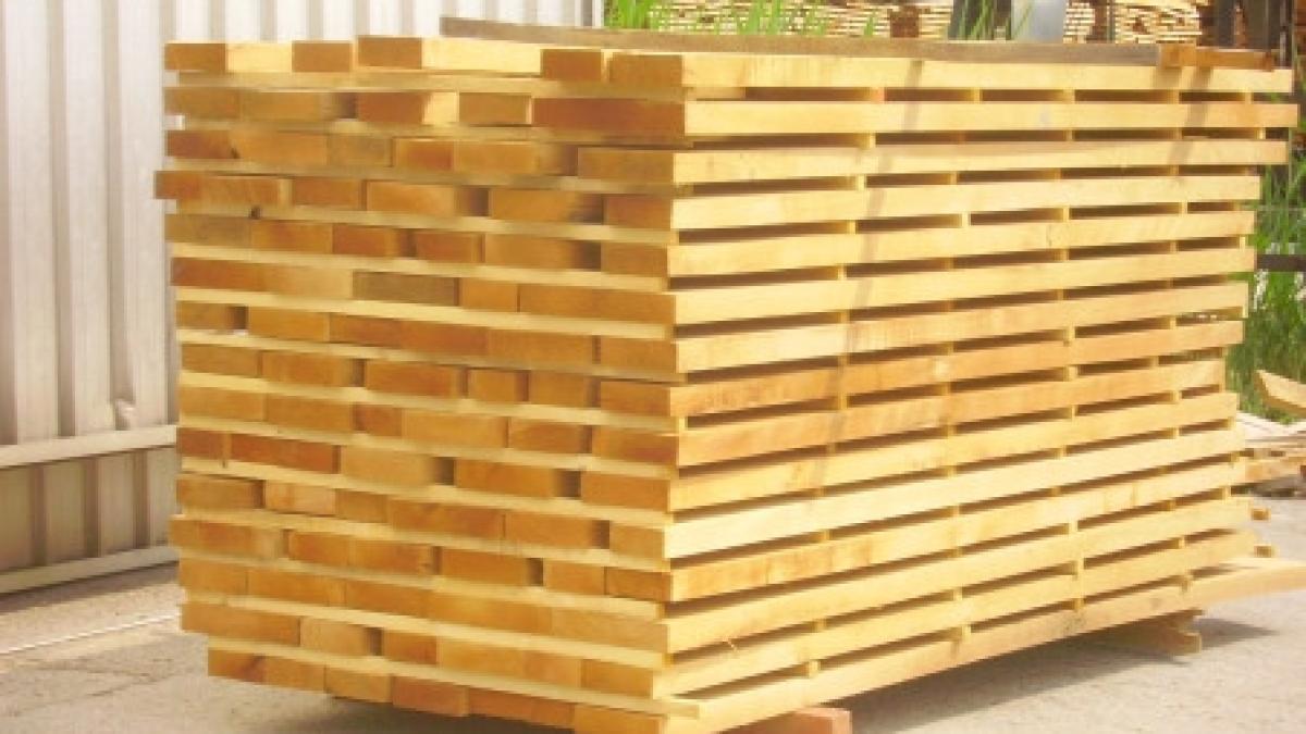 un spaniol a dat in judecata romania la cedo a pierdut o investitie de doua milioane euro