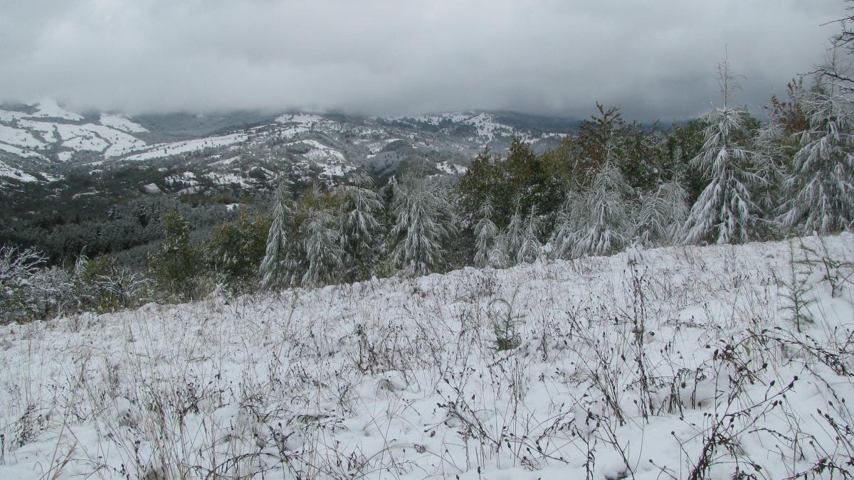 prima ninsoare a anului si a facut aparitia a nins la balea lac si in masivul parang
