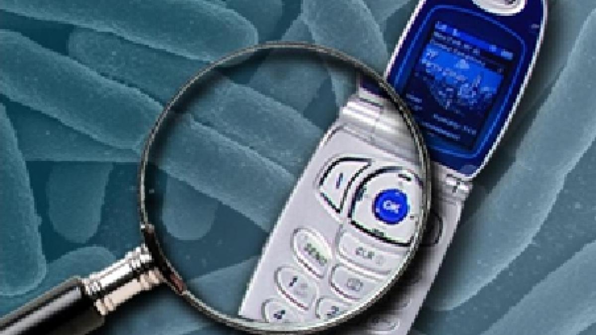 92 dintre telefoanele mobile au pe ele bacterii periculoase pentru om