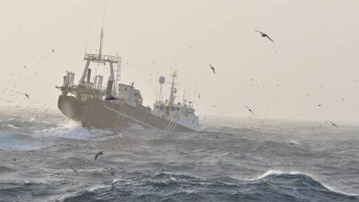 furtuna in constanta vantul a suflat cu peste 70 km h valurile au atins 7 metri inaltime prognoza