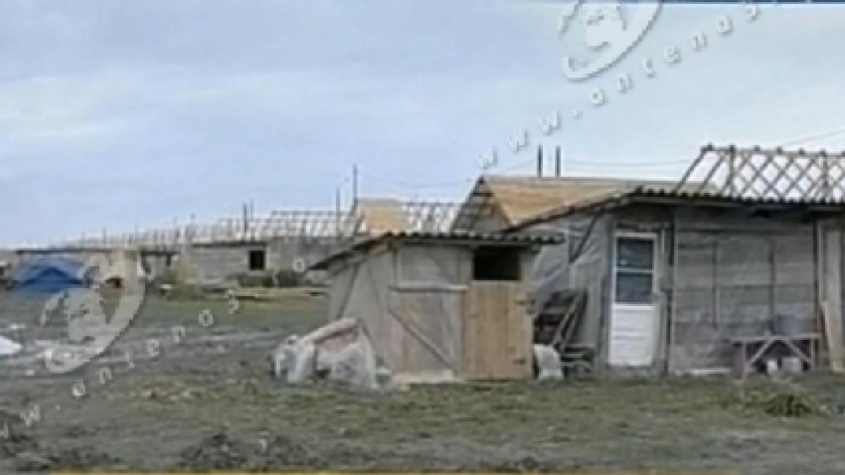 sinistratii din vadu rosca vand casele ridicate si donate de gigi becali