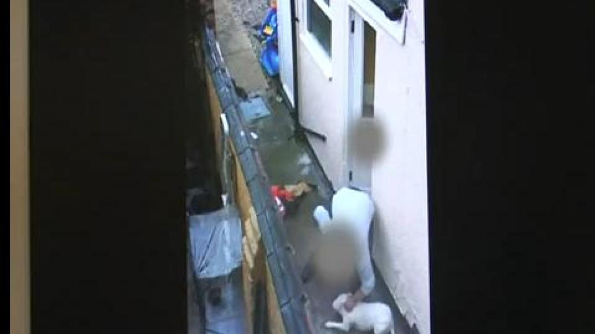 imaginile care au socat facebook ul l au aruncat imediat dupa gratii vezi de ce a fost in stare