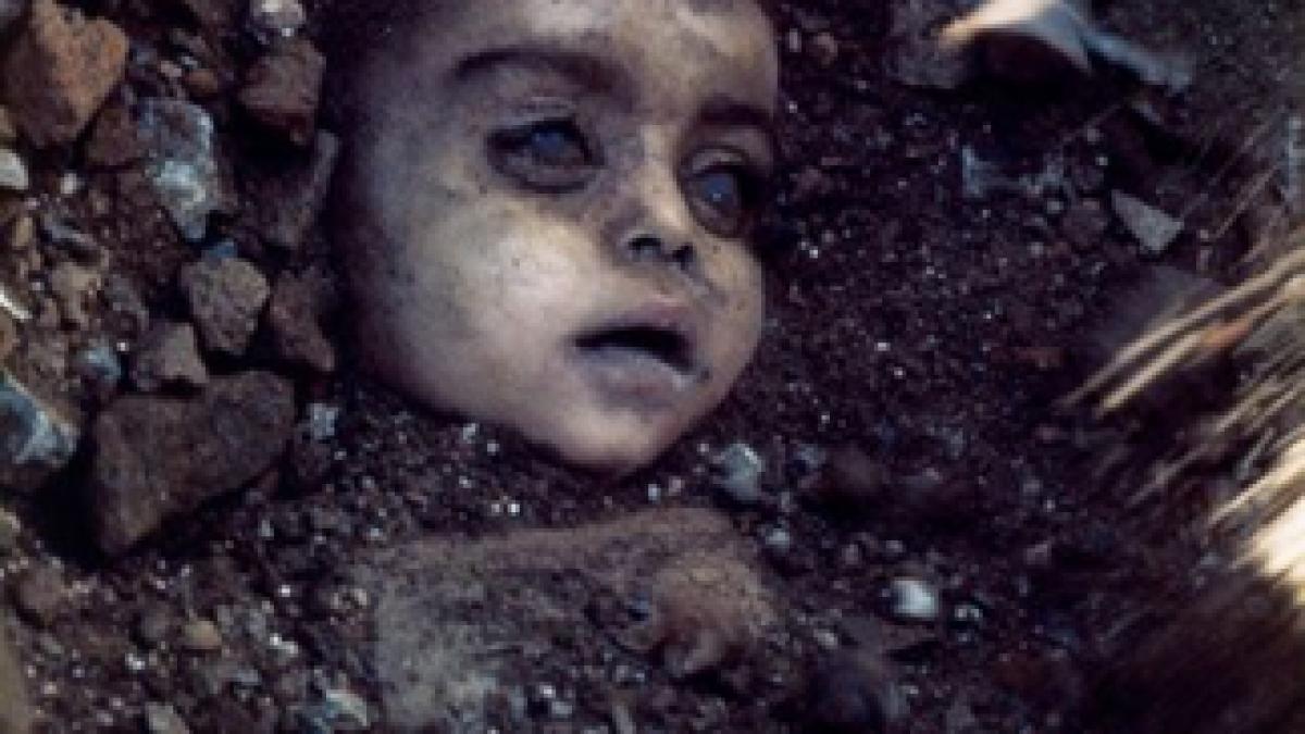 imaginile care ti au schimbat destinul vezi un top cu cele mai socante fotografii din lume