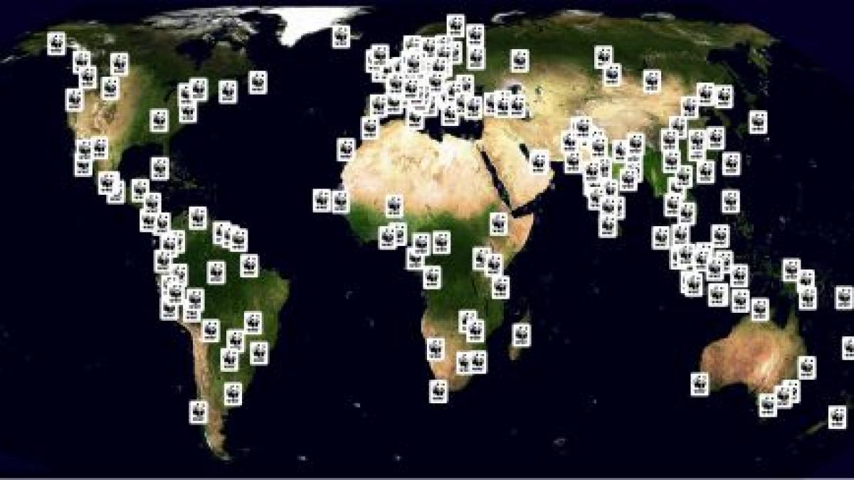 wwf aniverseaza 50 de ani de conservarea naturii