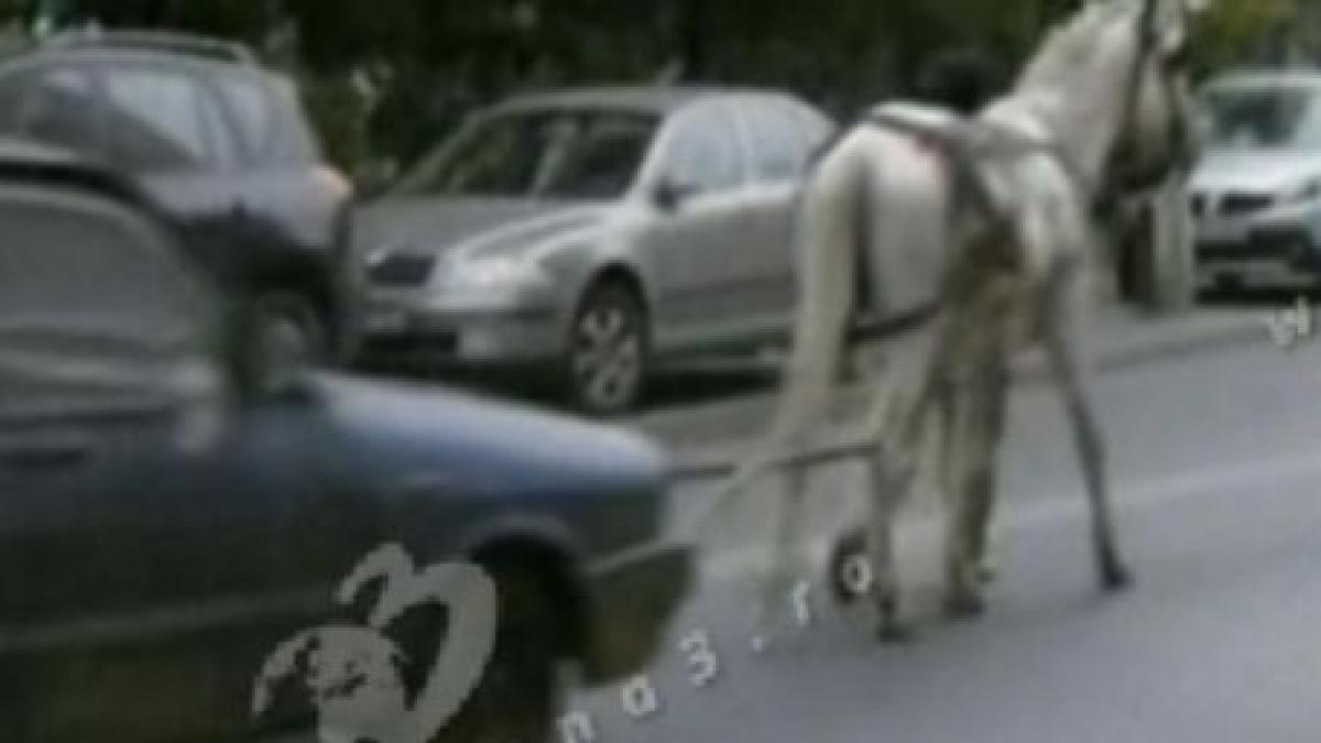 o dacie cu un cal putere a fost vazuta duminica in bucuresti