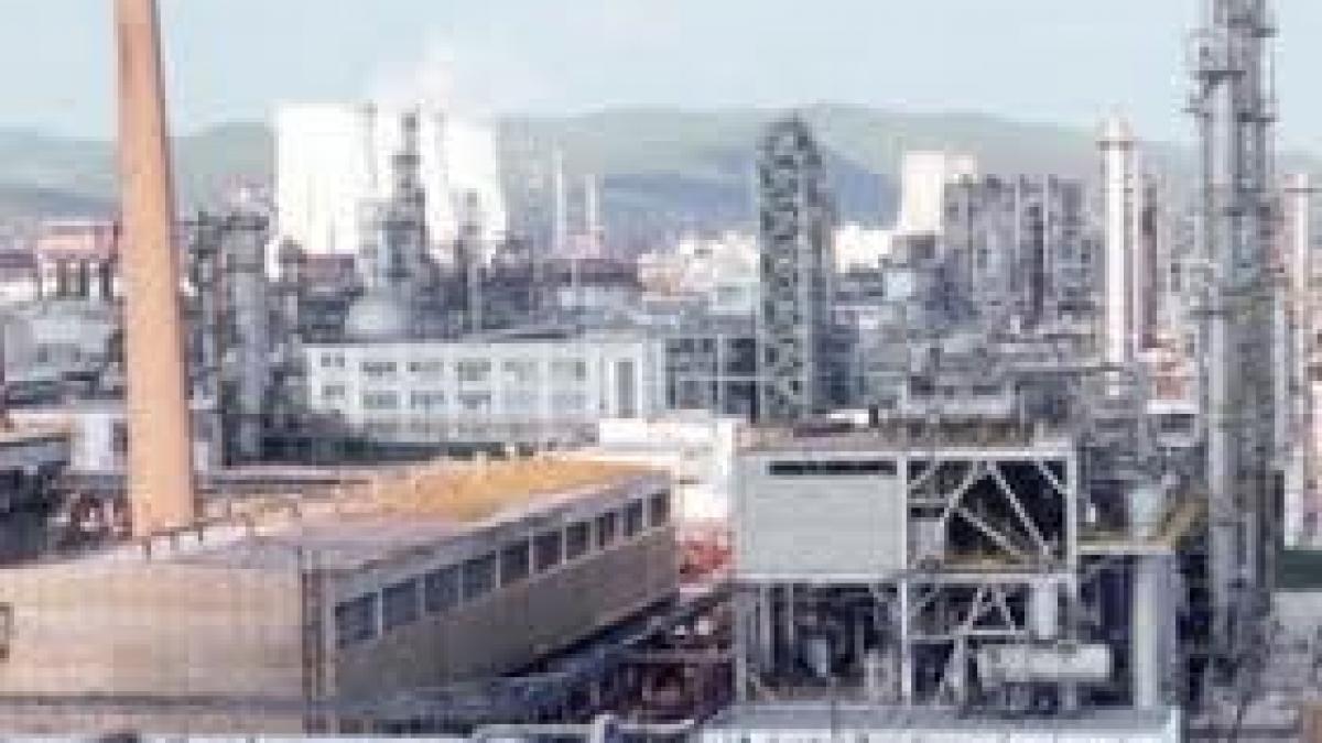 bancherii forteaza privatizarea oltchim ca sa isi recupereze banii bcr si banca transilvania vor