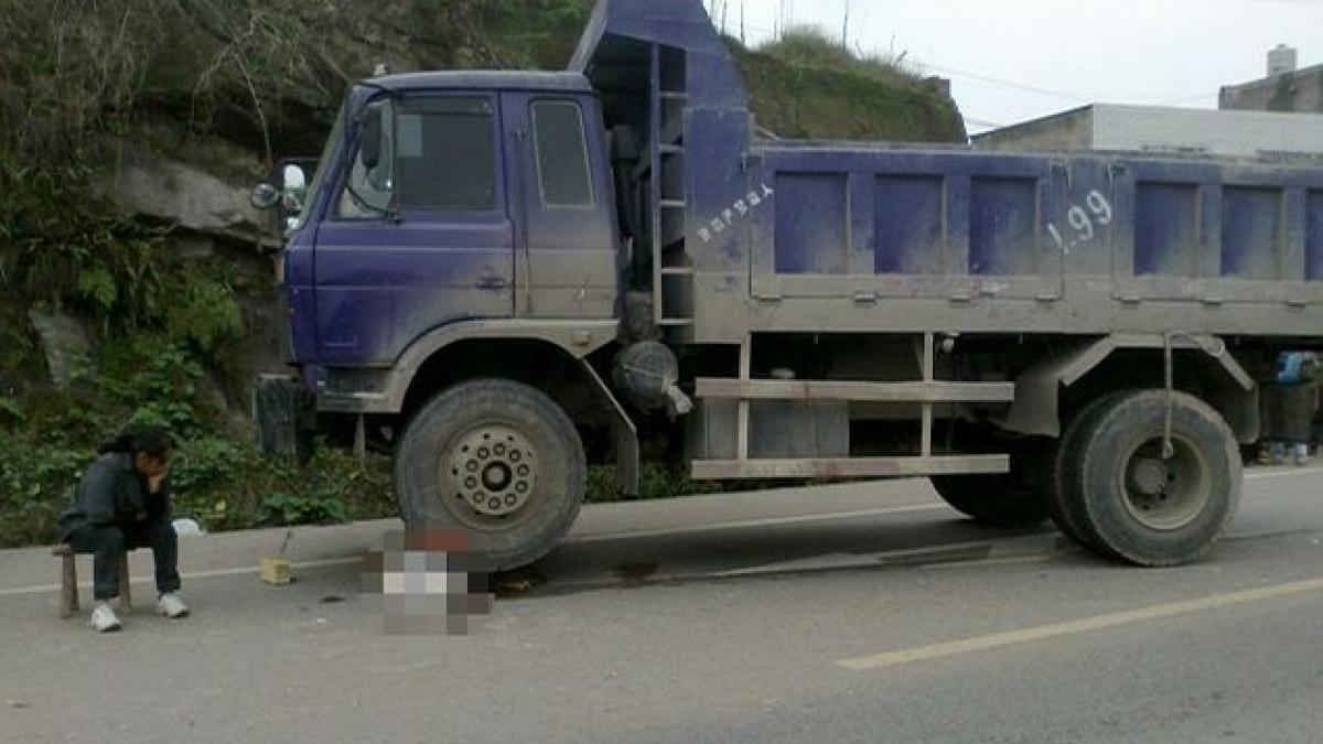 tara care a revoltat planeta scenele care demonstreaza ca oamenii sunt mai rai ca animalele