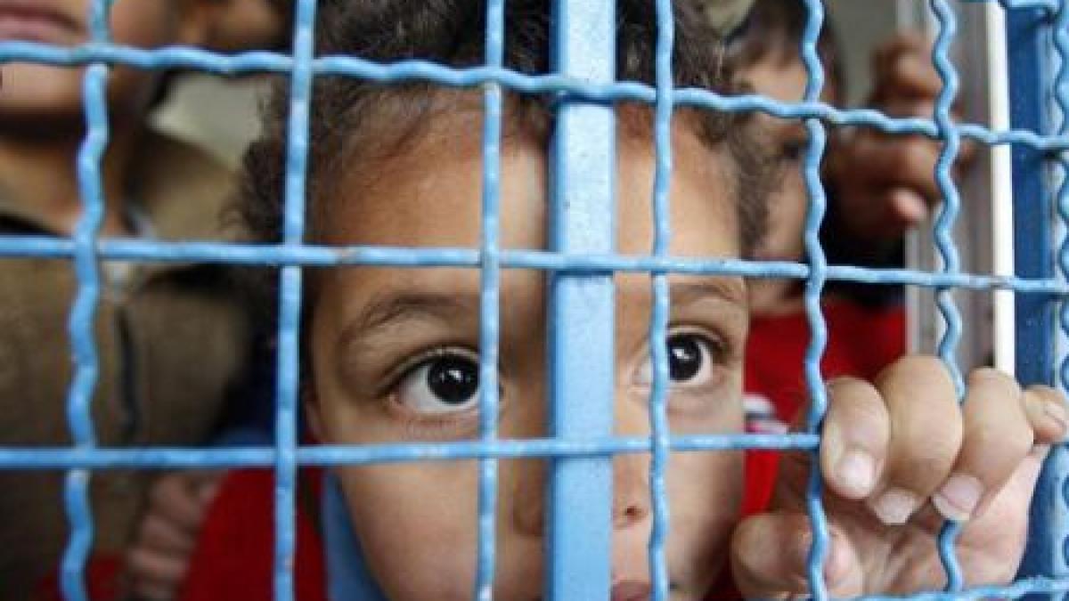 descoperire socanta in sua doi copii tinuti intr o cusca pentru animale