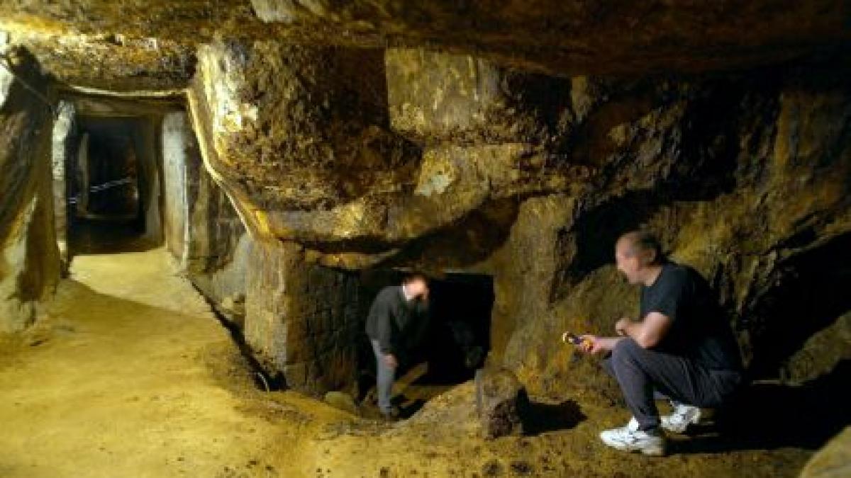 rmgc isi reduce capitalul cu peste 250 milioane lei din cauza pierderilor