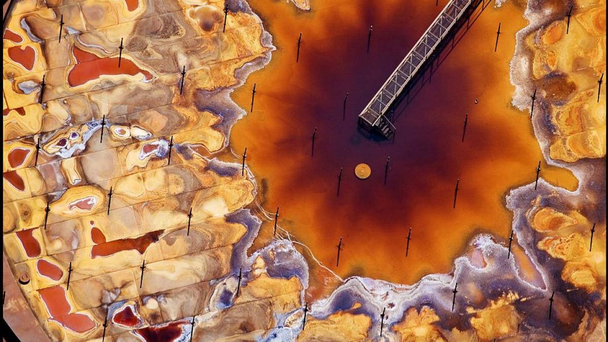 nu vei ghici niciodata ce reprezinta aceste fotografii realitatea te va soca