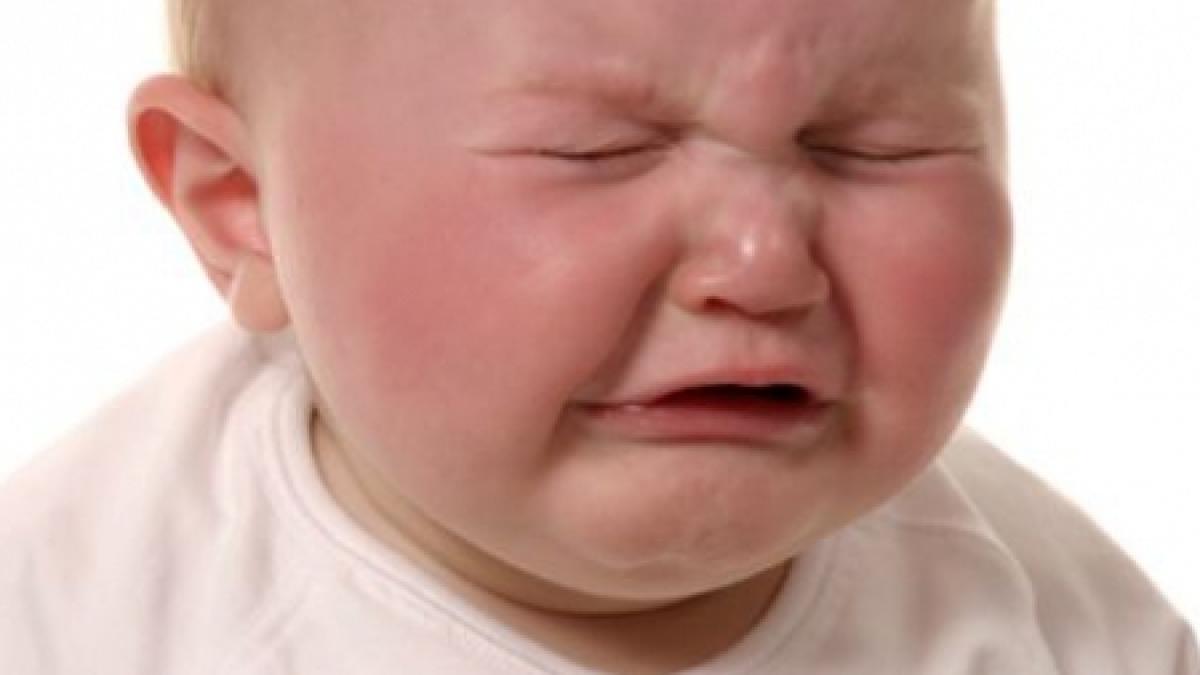 targu jiu fetita gasita la ghena in urma cu un an va fi adoptata de o familie