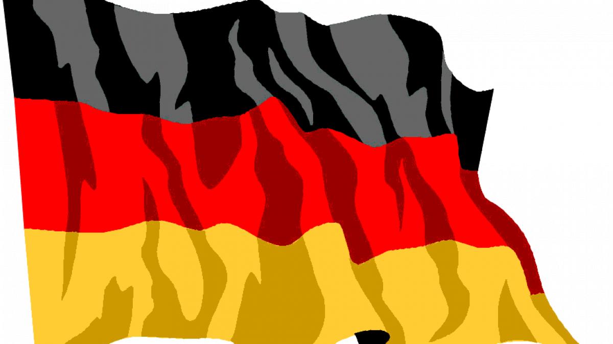 nationalistii germani vor ca toti imigrantii sa fie dati afara din germania