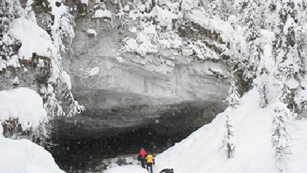 oameni de stiinta yeti exista il vom intalni intr o zi este inevitabil vezi dovezile zdrobitoare