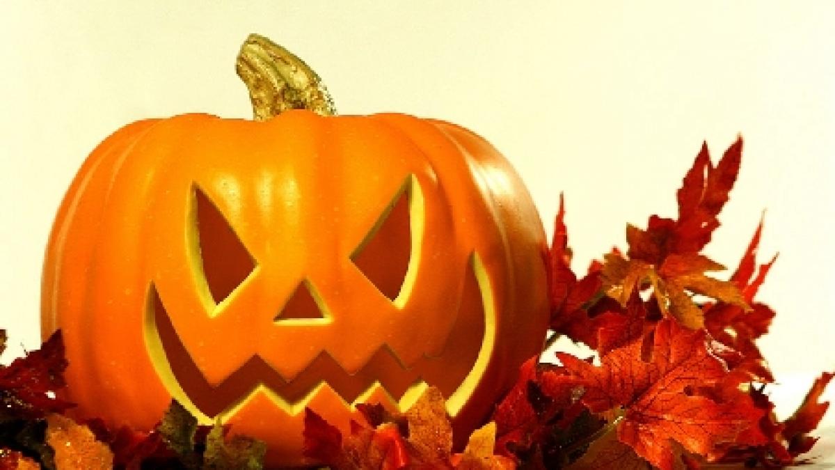 americanii au ramas fara dovleci de halloween din cauza uraganelor