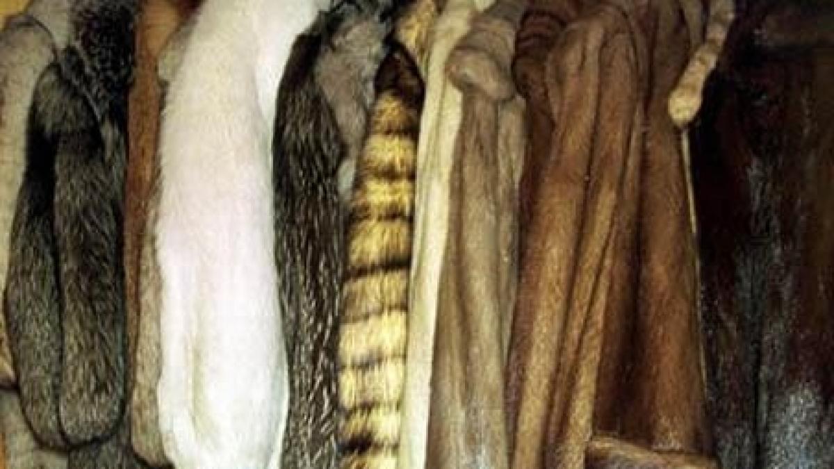 lux vanzarile la haine de blana au scazut cu 60