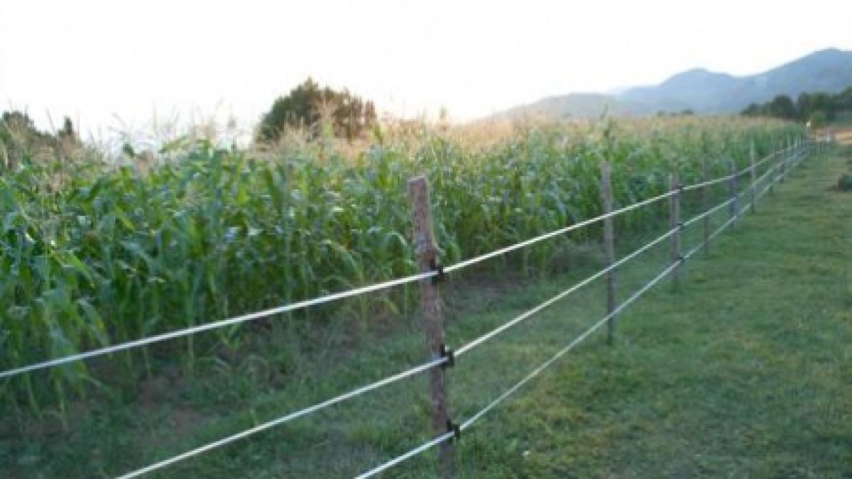 proprietarul gardului electric care a provocat moartea unui adolescent trimis in judecata