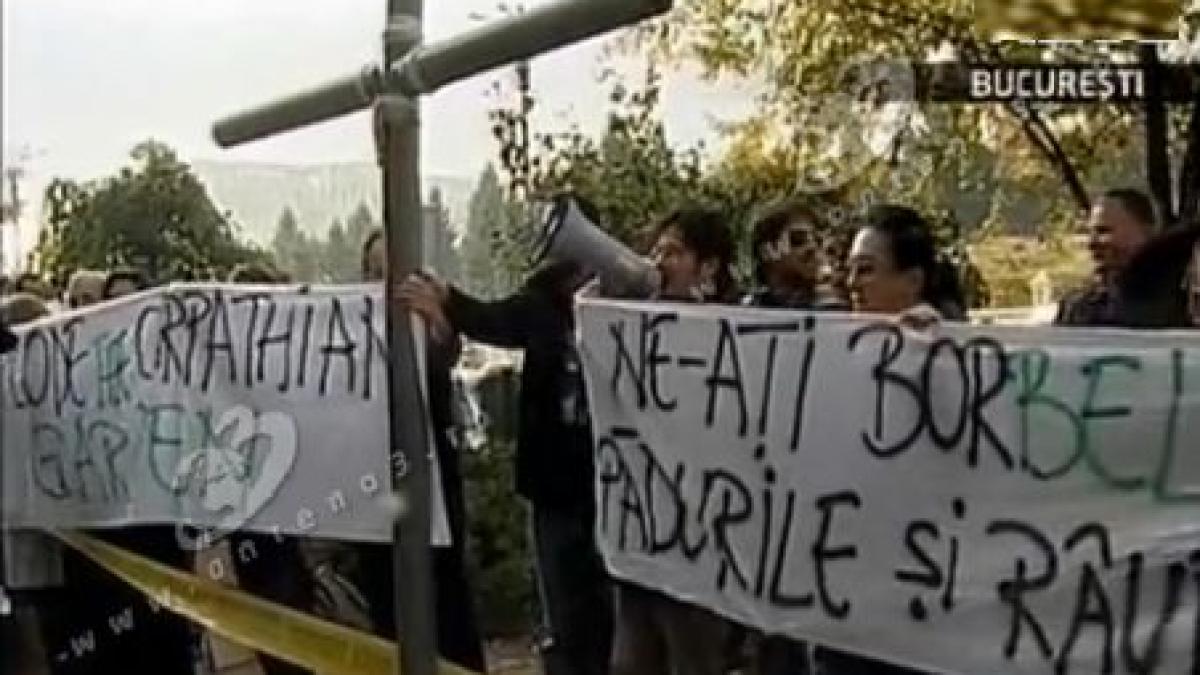 zeci de organizatii de mediu cer demisia ministrului laszlo borbely