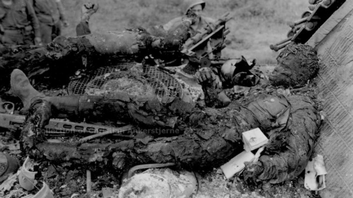 moartea unor eroi studiul socant care va schimba soarta razboaielor
