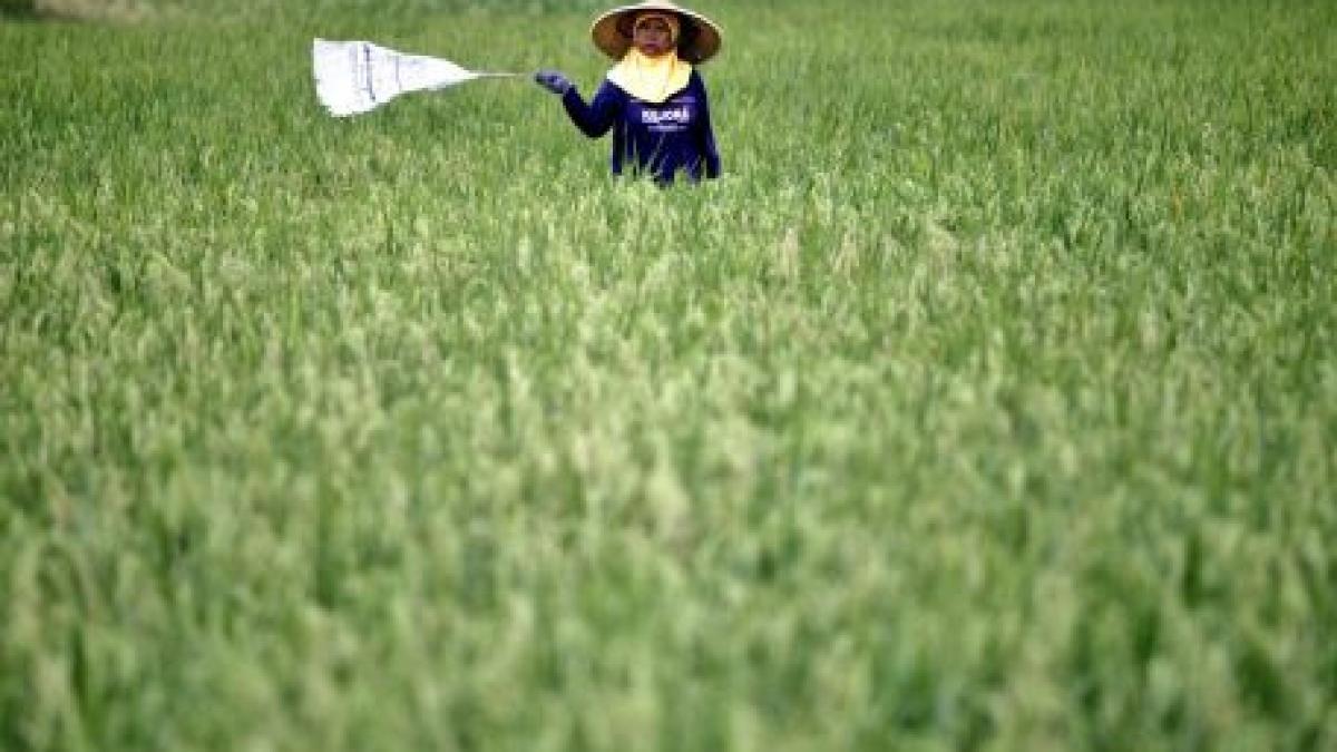 puterile emergente doresc schimbarea sistemului economic global