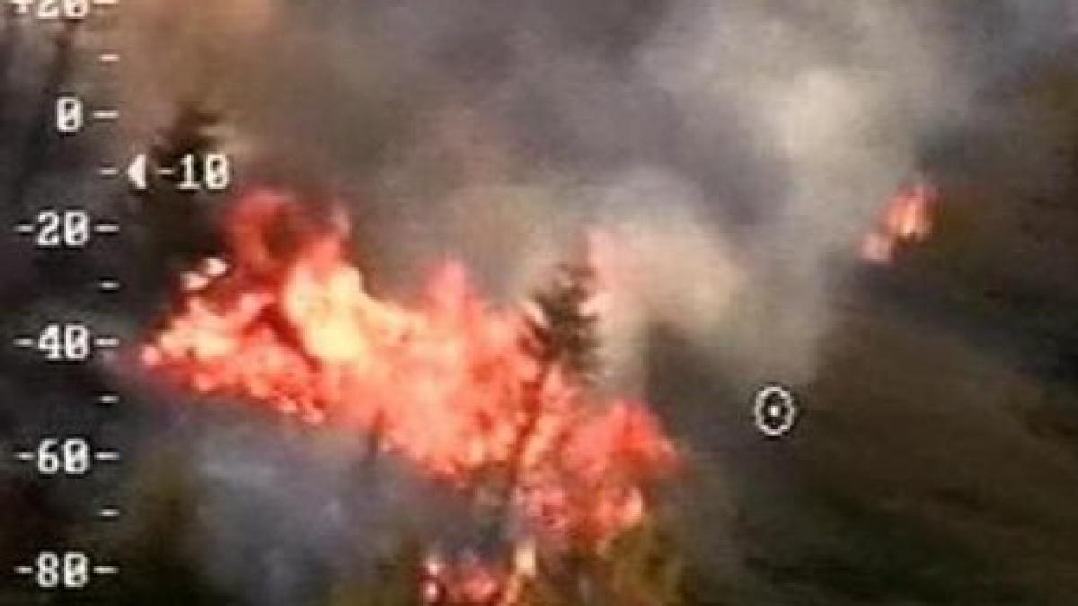 un incendiu puternic a izbucnit in muntii sureanu lotrului peste 200 de pompieri se lupta cu