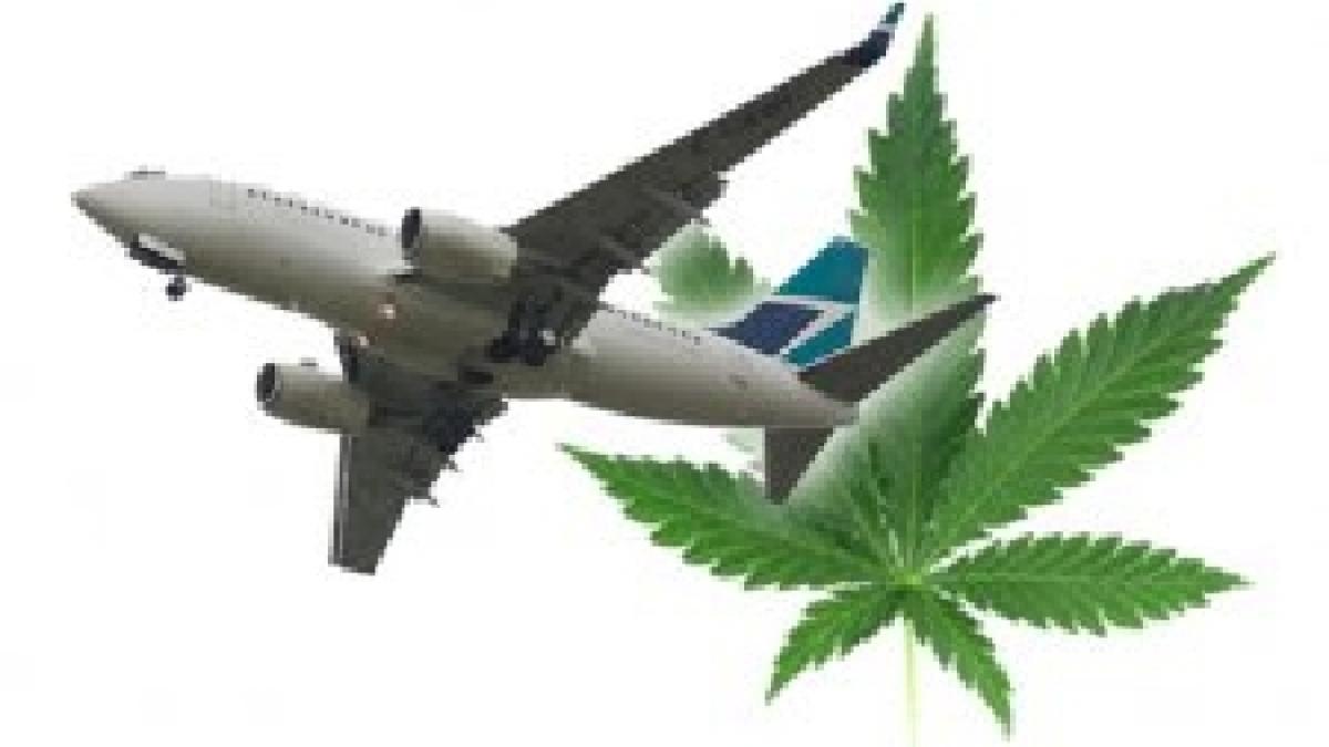 rusia pilotul unui avion a consumat cannabis inainte de a efectua o cursa cu 192 de pasageri