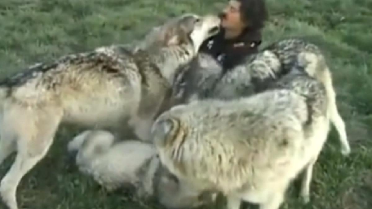 s a dus in gura lupului de dragul artei vezi la ce te impinge pasiunea pentru fotografie