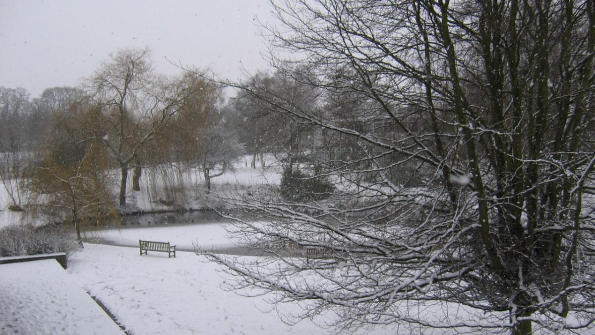 saptamana aceasta vom avea parte de prima zapada vezi unde si cand va ninge