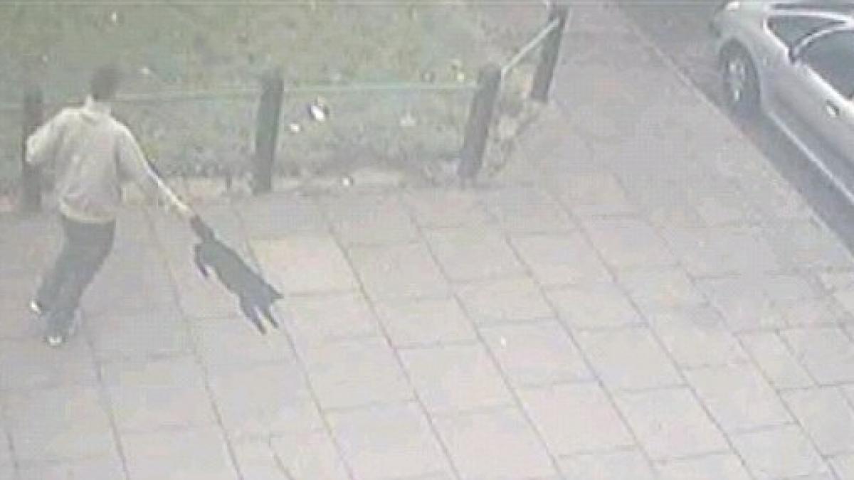 imaginile socante care nu il califica sa fie om vezi fotografiile care au revoltat marea britanie