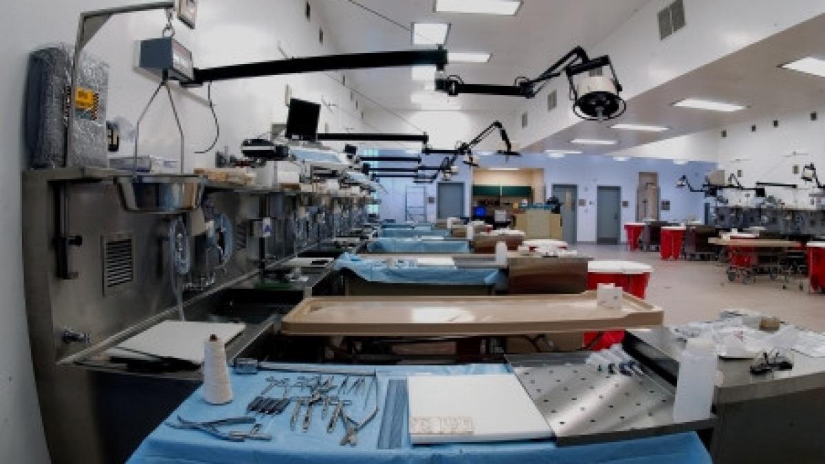 practici neortodoxe la o baza aeriana din sua ardeau parti din cadavrele militarilor si aruncau