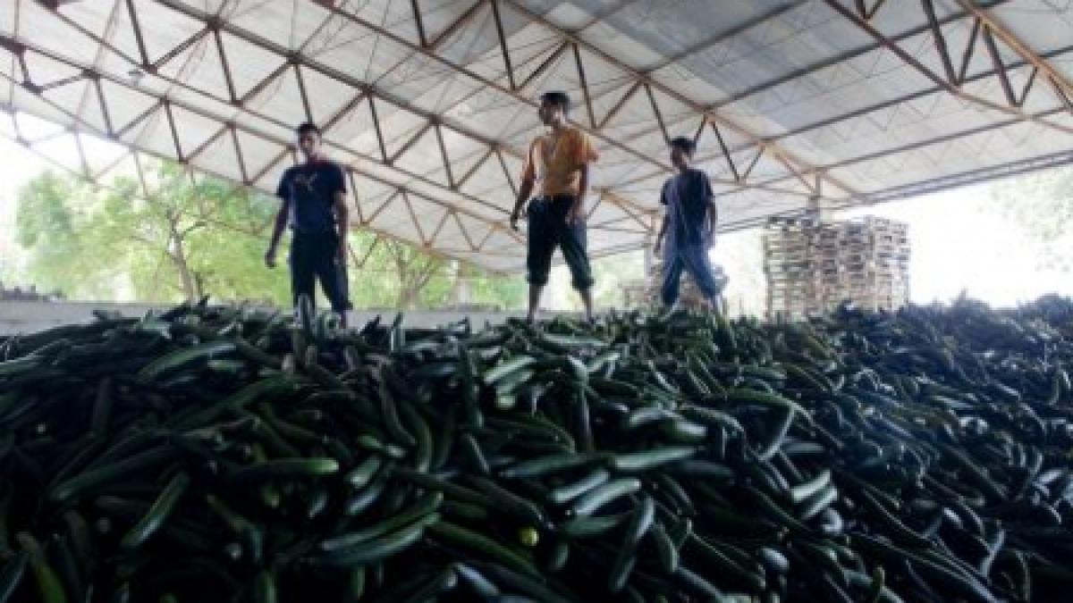 ministerul agriculturii imprumuta peste 300 milioane euro pentru subventii