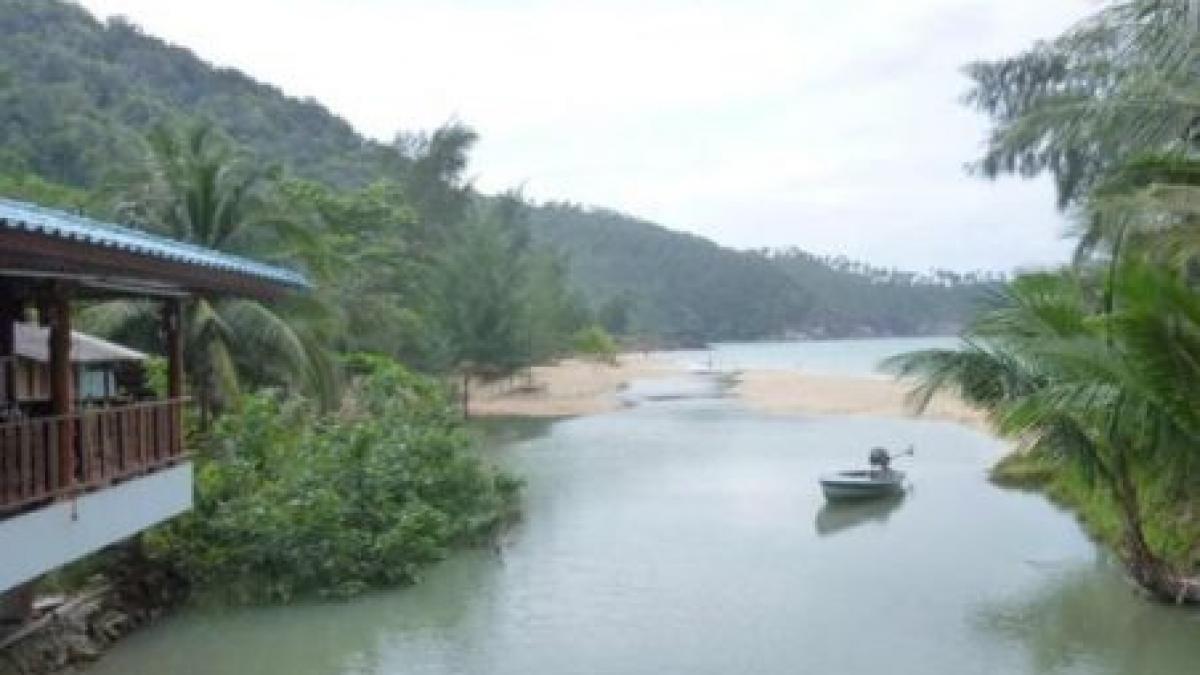 o profesoara din targu jiu arestata pentru delapidare