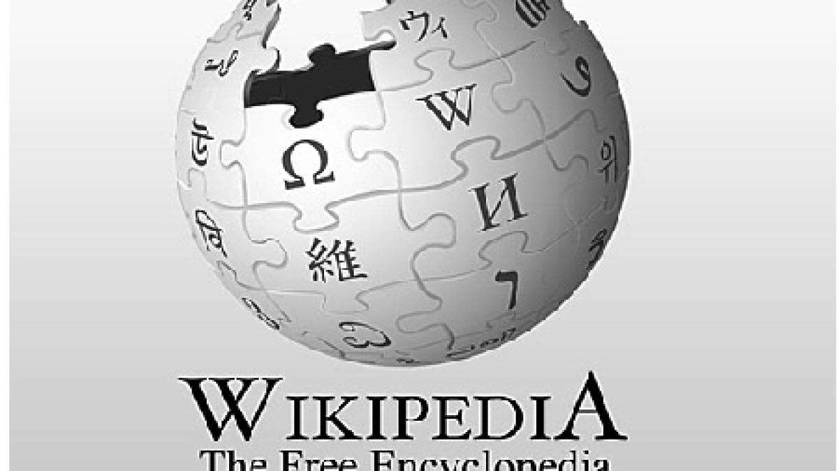 cofondatorul google a donat jumatate de milion de dolari fundatiei wikimedia