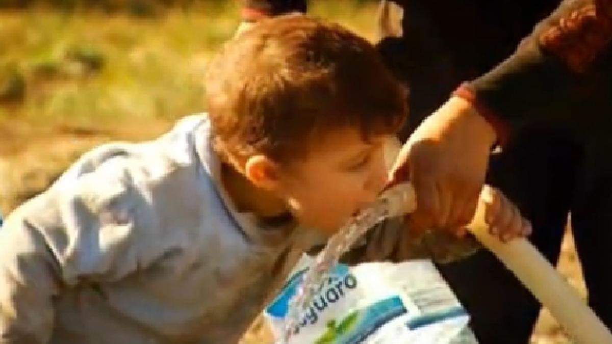 romania care mananca din gunoaie reportaj in premiera despre ghetourile din tara noastra