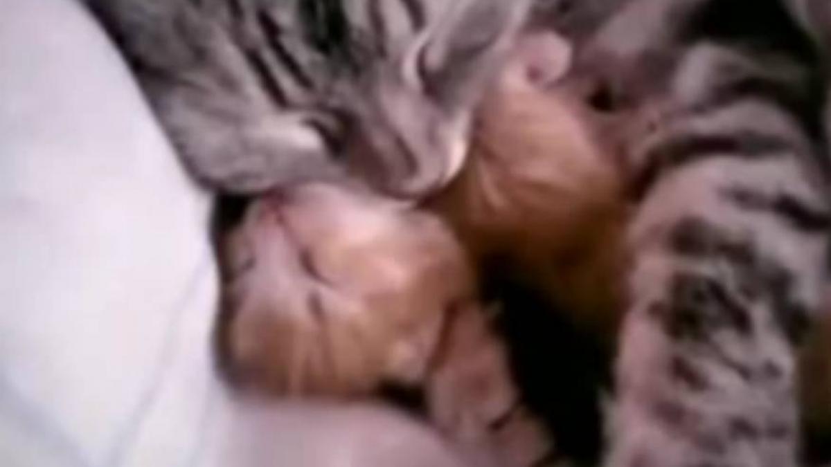 acesta poate fi cel mai frumos minut al zilei