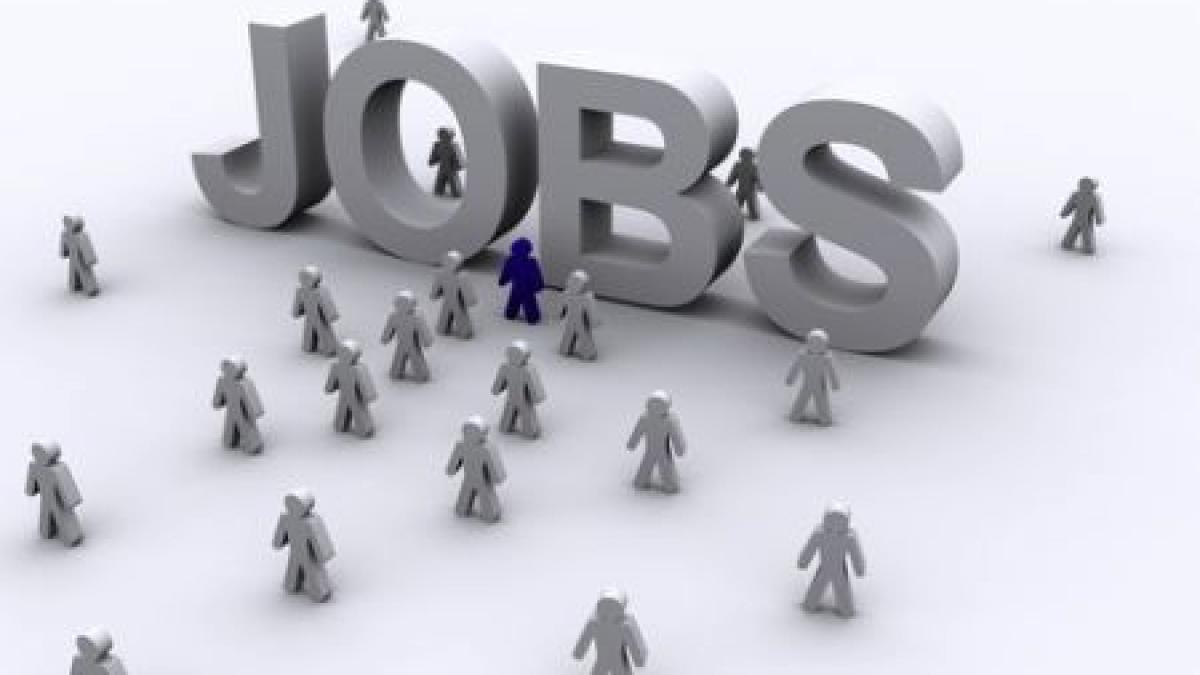 joburile de vis ale romanilor vezi care sunt cele mai solicitate posturi pe site urile de recrutare