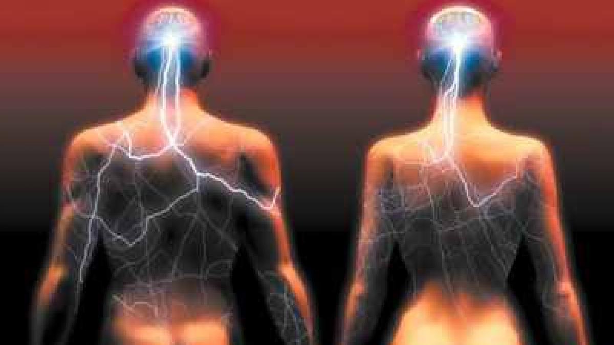 sexul va deveni electronic pana in 2030